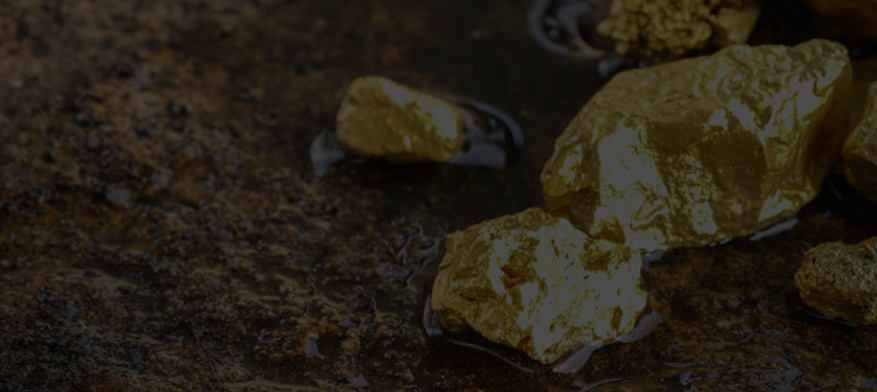 Gold Robit